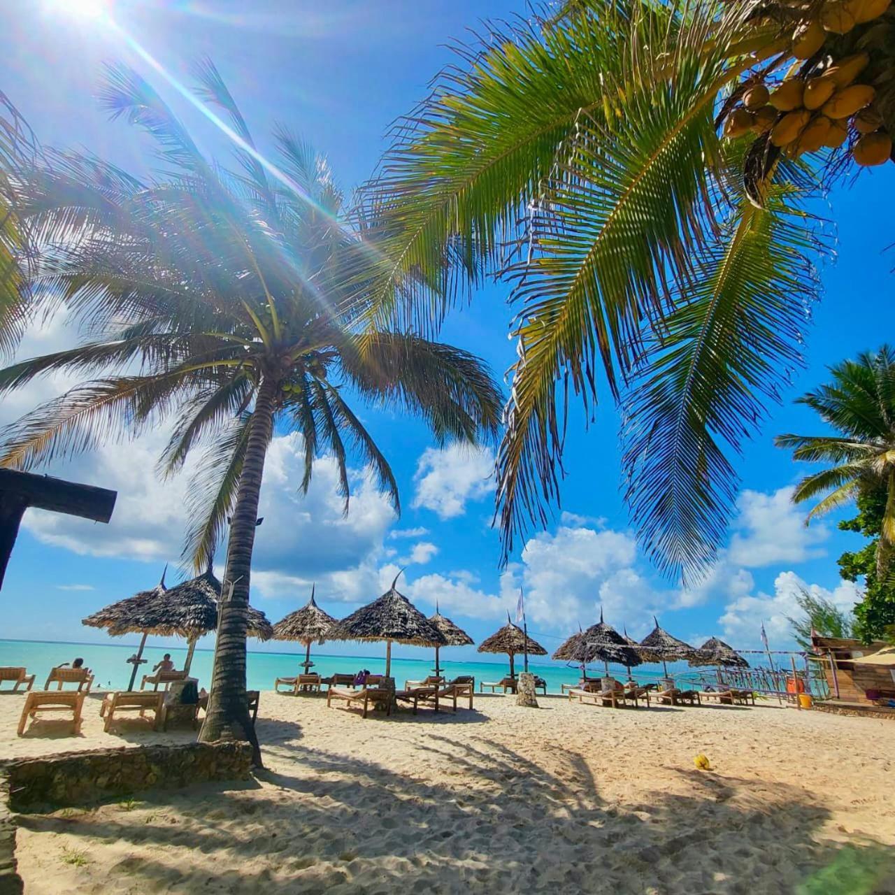 Mambo Ocean Resort Pwani Mchangani Zewnętrze zdjęcie