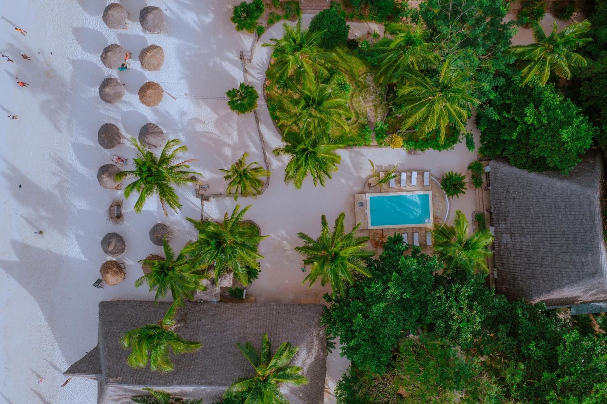 Mambo Ocean Resort Pwani Mchangani Zewnętrze zdjęcie