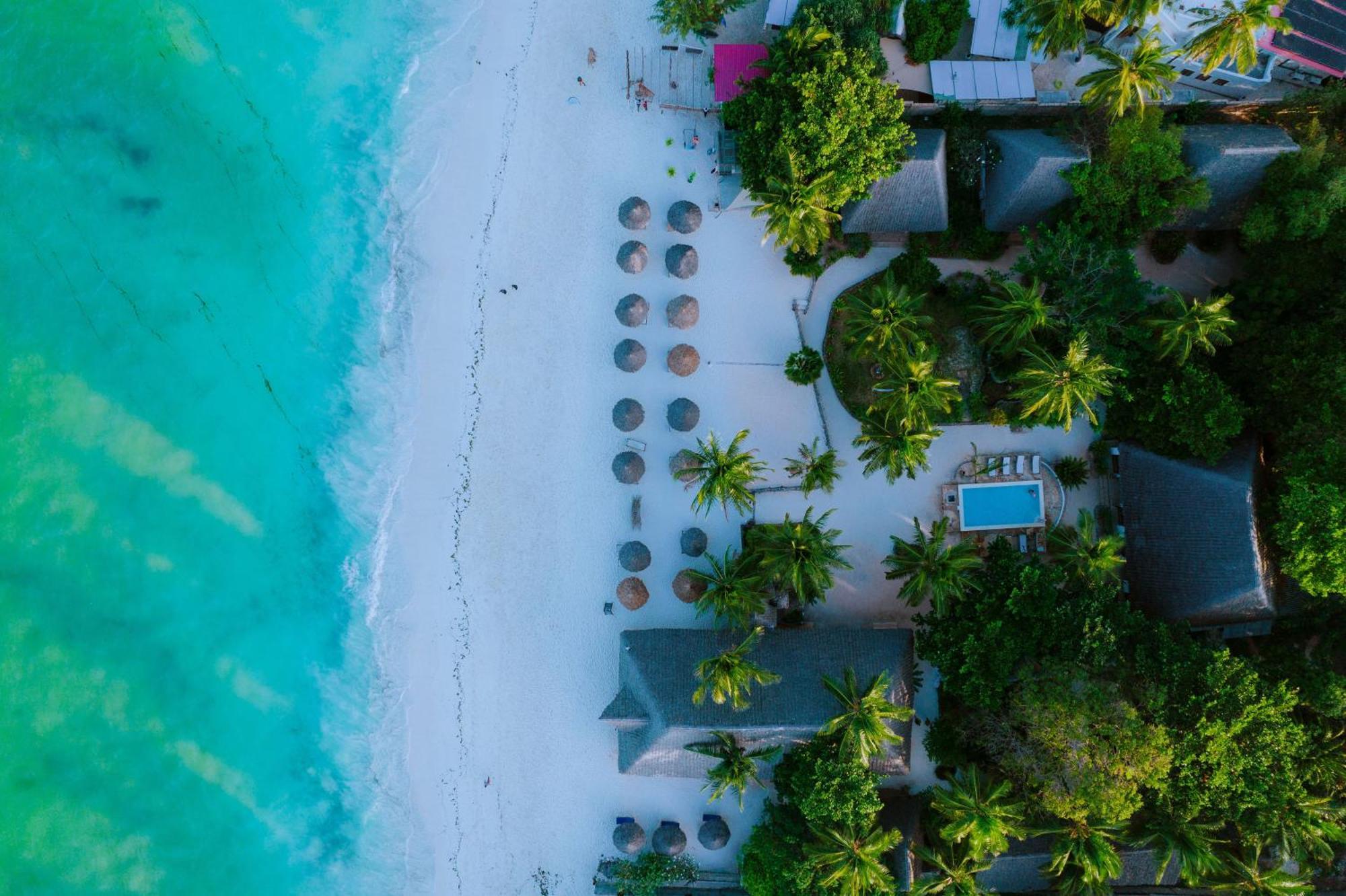 Mambo Ocean Resort Pwani Mchangani Zewnętrze zdjęcie